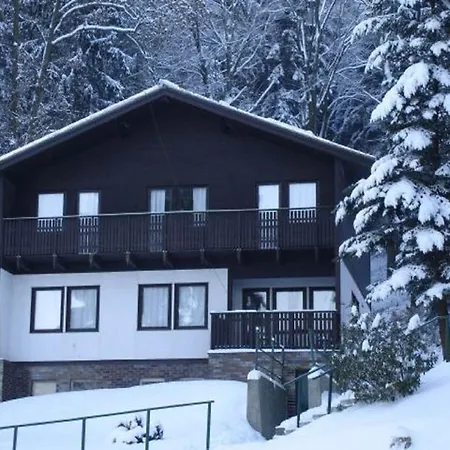 In Dolni Brusnice Near Lift, Cleaning Included